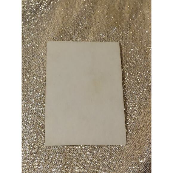 Vintage Photo 1920s Florida Alligators Gators Park Zoo Basking Sunning - Picture 6 of 8